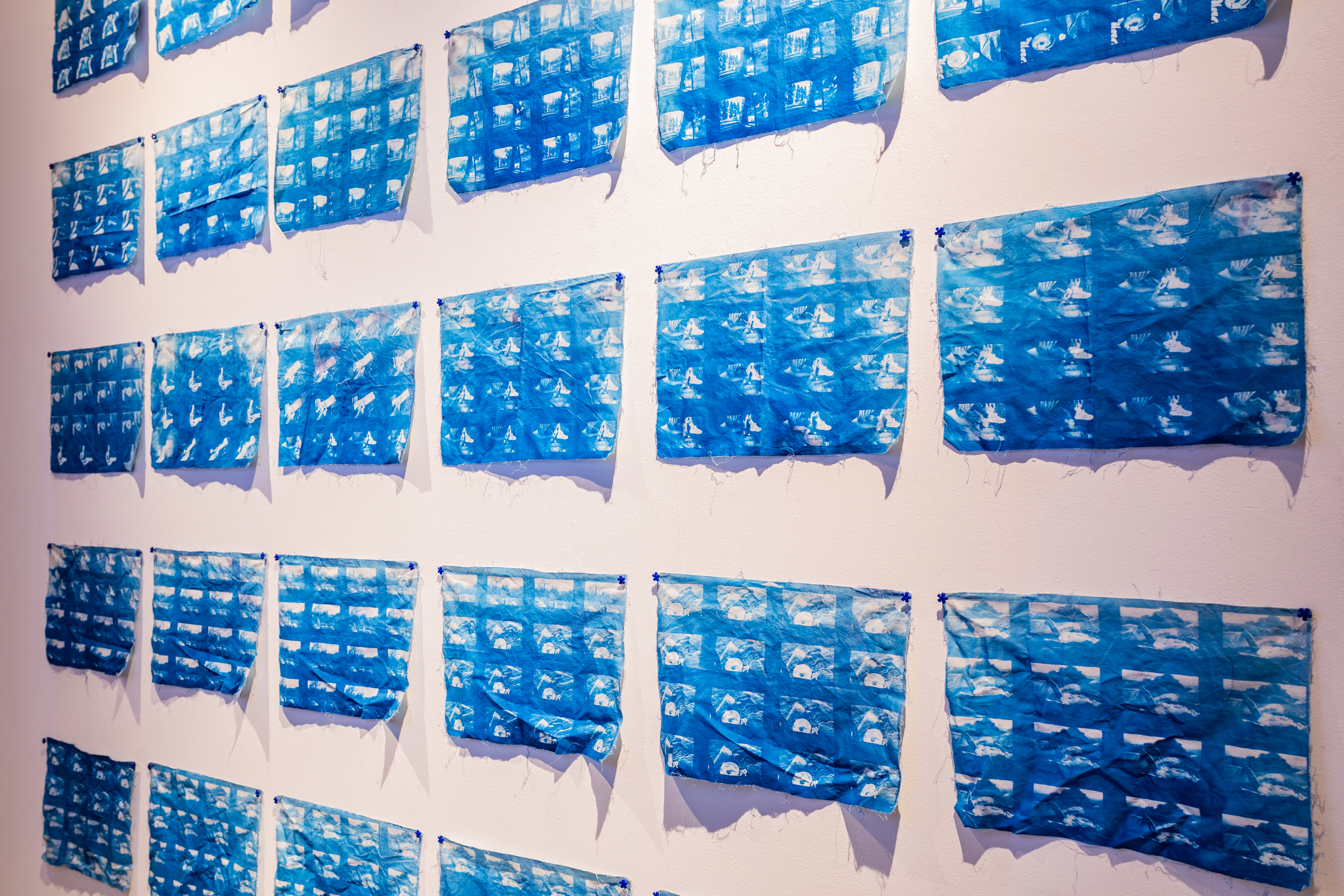 Multiple cyanotypes are printed and arranged in a grid on a white wall.